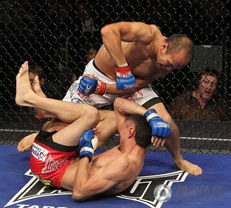 金额最多的ufc比赛,张铁泉ufc一场比赛多少钱