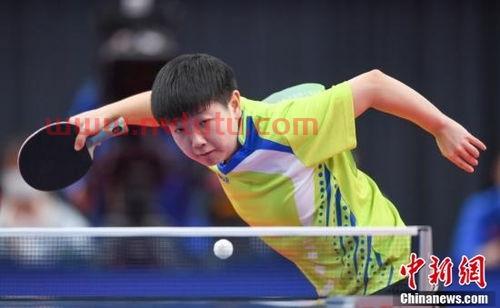 连奥运冠军都会被淘汰,全运会的水平到底有多高 (全运会乒乓球比赛跳水)