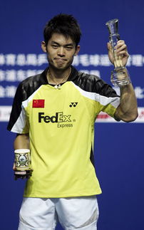 2014中国羽毛球公开赛男单决赛冠军是谁(羽毛球比赛中国公开赛男单)