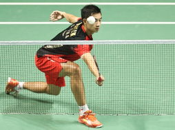 原国家队羽毛球队员王,国家羽毛球二队男单选手王睁茗是哪里人