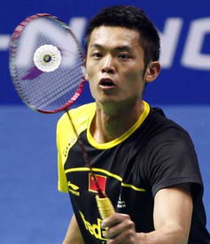 2015年中国羽毛球公开赛冠军是谁 (中国羽毛球公开赛决赛冠军)