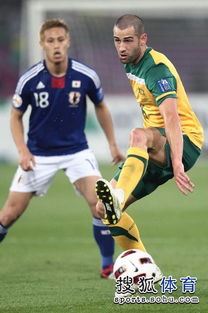 亚洲杯卡塔尔对中国凌空抽射亚洲杯中国对卡塔尔那队赢啊