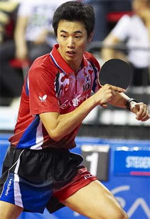 历届世乒赛名单(世乒赛团体冠军有哪些人)