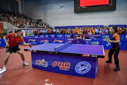 上海澄高体育文化发展有限公司怎么样 (乒乓球成都世乒赛中国队名单)