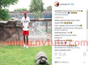 点球在哪里发 有哪些犯规要罚点球(什么情况发点球怎么发)