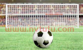 世界杯结果怎么看点球(世界杯独赢点球怎么算)