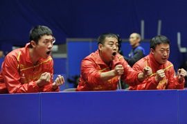 第三十一届世界乒乓球锦标赛中国队成员(世乒赛男单有几个中国人)