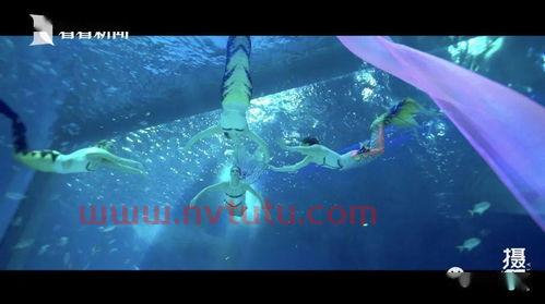 海昌公园的美人鱼一个月工资(做美人鱼教练的工资多少)