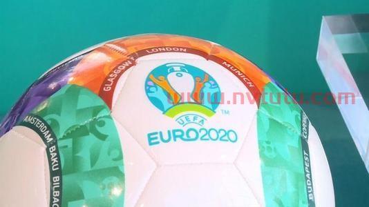 2020欧洲杯有几个国家参加呢 (欧洲杯有德国队吗)